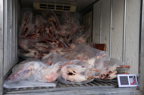 ubpress/image/2025/11/29/7y53wcaex3rzsmmb/22Өвлийн